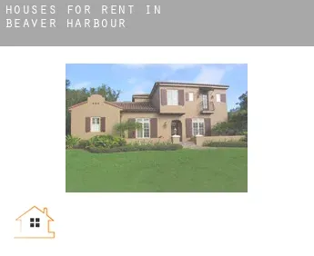 Houses for rent in  Beaver Harbour