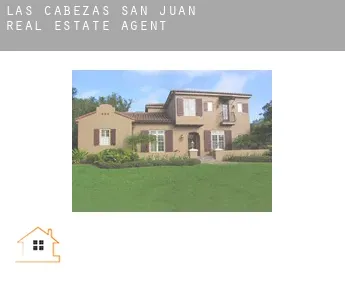 Las Cabezas de San Juan  real estate agent
