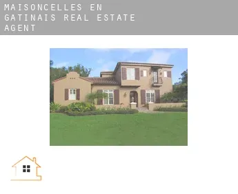 Maisoncelles-en-Gâtinais  real estate agent