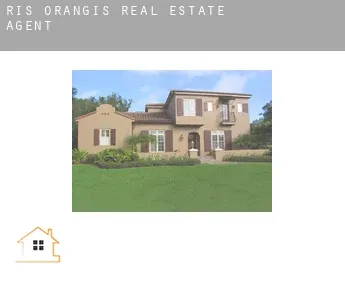 Ris-Orangis  real estate agent