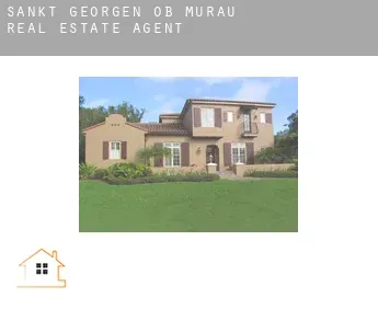 Sankt Georgen ob Murau  real estate agent