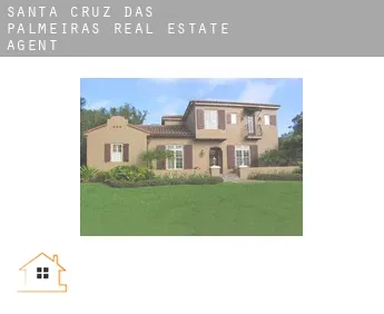 Santa Cruz das Palmeiras  real estate agent