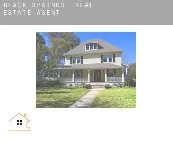 Black Springs  real estate agent