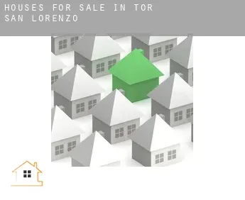 Houses for sale in  Tor San Lorenzo