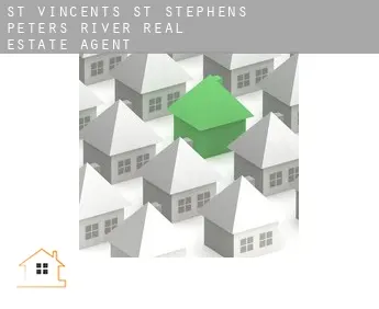 St. Vincent's-St. Stephen's-Peter's River  real estate agent