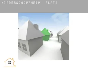 Niederschopfheim  flats