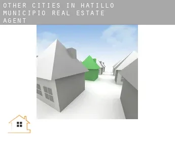 Other cities in Hatillo Municipio  real estate agent