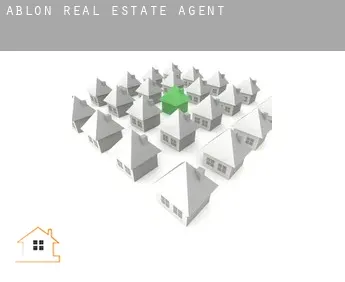 Ablon  real estate agent