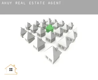 Ahuy  real estate agent