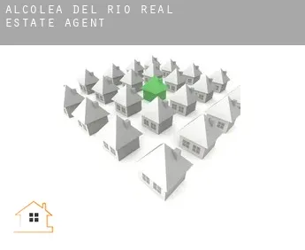 Alcolea del Río  real estate agent