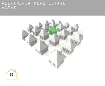 Alexandria  real estate agent