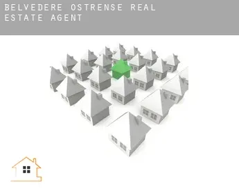 Belvedere Ostrense  real estate agent