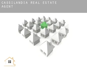 Cassilândia  real estate agent