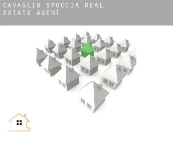 Cavaglio-Spoccia  real estate agent