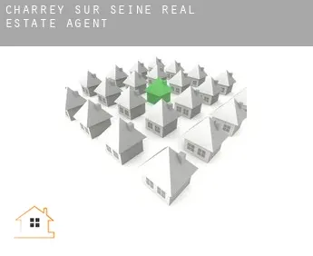 Charrey-sur-Seine  real estate agent