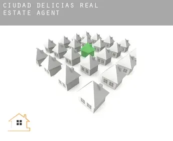 Ciudad Delicias  real estate agent