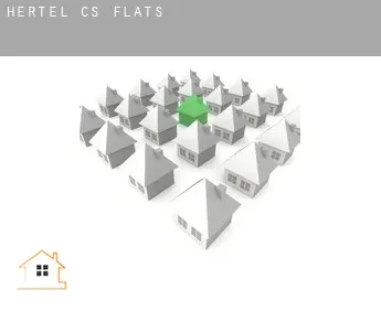 Hertel (census area)  flats