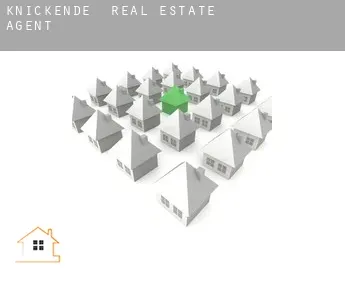 Knickende  real estate agent