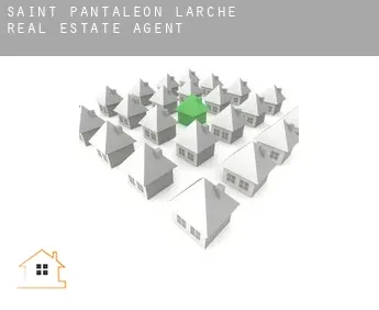 Saint-Pantaléon-de-Larche  real estate agent
