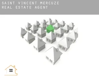 Saint-Vincent-de-Mercuze  real estate agent