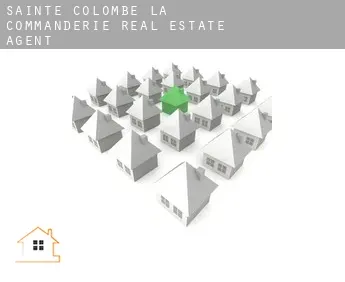 Sainte-Colombe-la-Commanderie  real estate agent