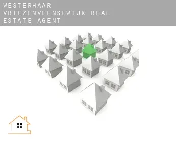 Westerhaar-Vriezenveensewijk  real estate agent