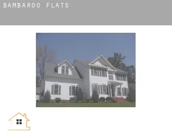 Bambaroo  flats