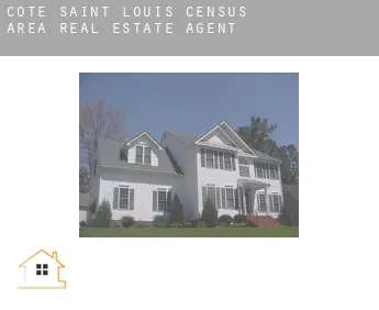 Côte-Saint-Louis (census area)  real estate agent