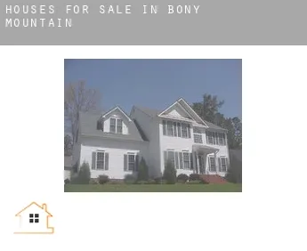 Houses for sale in  Bony Mountain