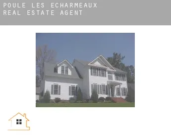 Poule-les-Écharmeaux  real estate agent
