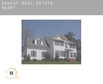 Sauzay  real estate agent