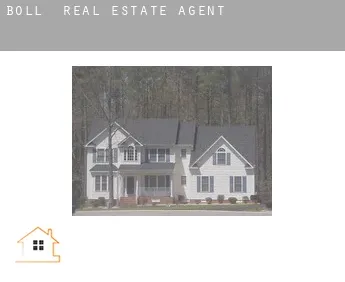 Boll  real estate agent