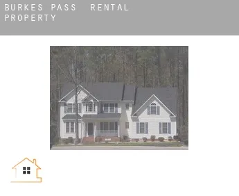 Burkes Pass  rental property