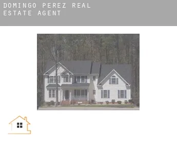 Domingo Pérez  real estate agent
