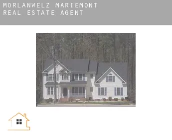 Morlanwelz-Mariemont  real estate agent