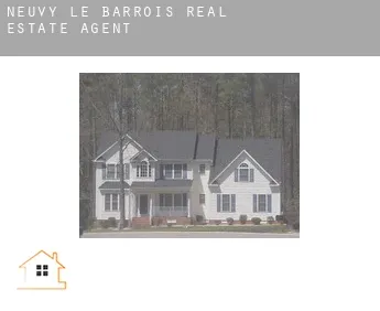 Neuvy-le-Barrois  real estate agent