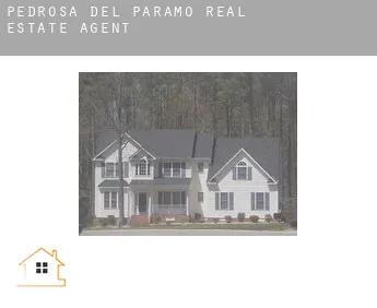 Pedrosa del Páramo  real estate agent