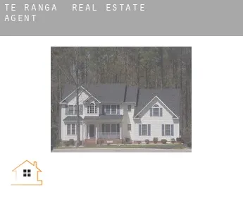 Te Ranga  real estate agent