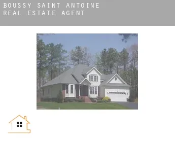 Boussy-Saint-Antoine  real estate agent