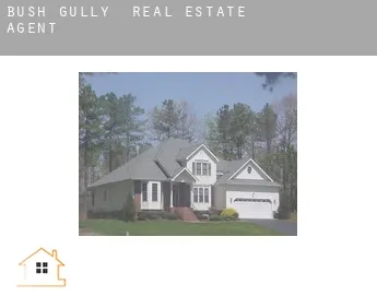 Bush Gully  real estate agent