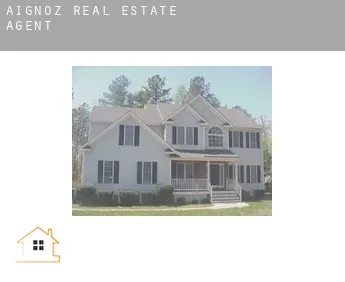 Aignoz  real estate agent