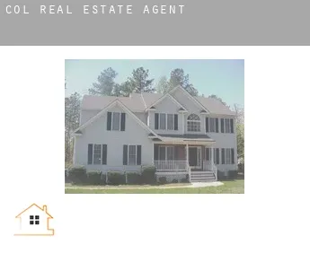 Col  real estate agent