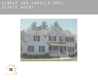 Elbeuf-sur-Andelle  real estate agent