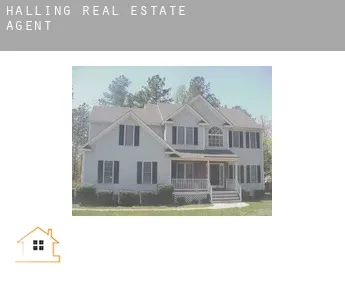 Halling  real estate agent