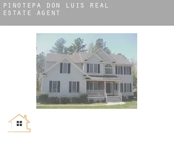 Pinotepa de Don Luis  real estate agent