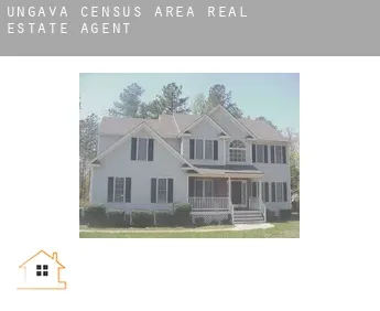 Ungava (census area)  real estate agent