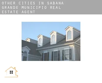 Other cities in Sabana Grande Municipio  real estate agent