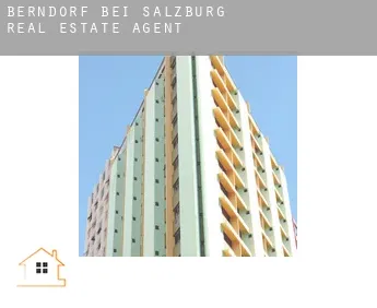 Berndorf bei Salzburg  real estate agent