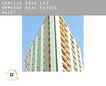 Chaillé-sous-les-Ormeaux  real estate agent