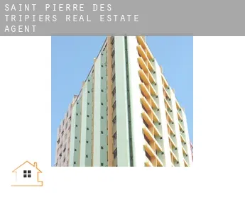 Saint-Pierre-des-Tripiers  real estate agent